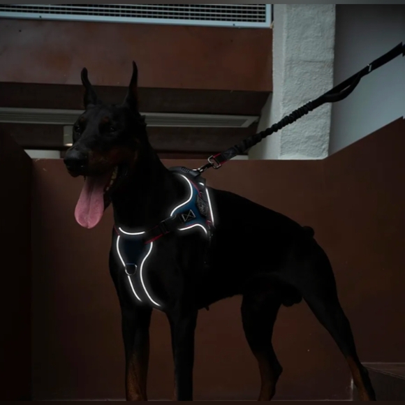 Wakytu Dog No Pull Harness and Leash Set with Handle, New - Picture 6 of 8